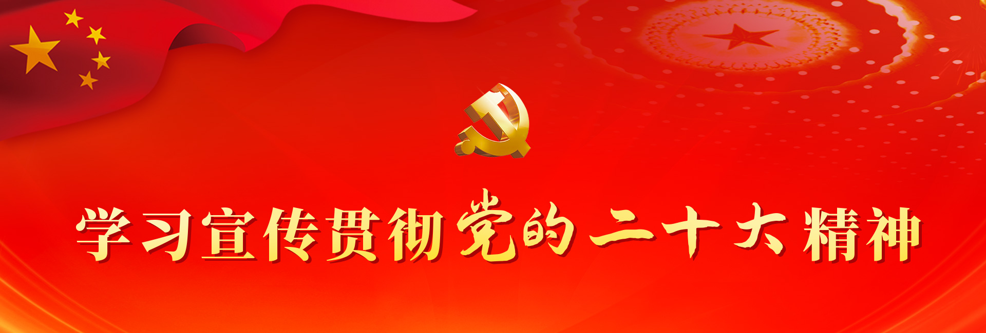 新乡中新化工有限责任公司