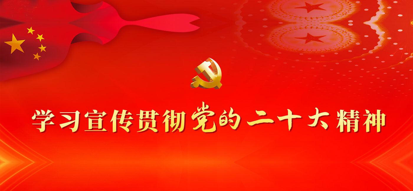 新乡中新化工有限责任公司